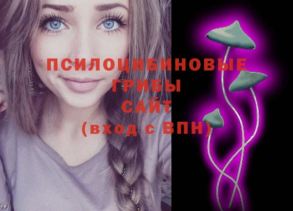 ПСИЛОЦИБИНОВЫЕ ГРИБЫ Абаза