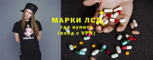 ПСИЛОЦИБИНОВЫЕ ГРИБЫ Абаза