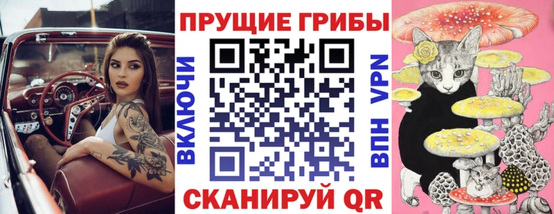 купить  сайты  Кирсанов  Галлюциногенные грибы мицелий 